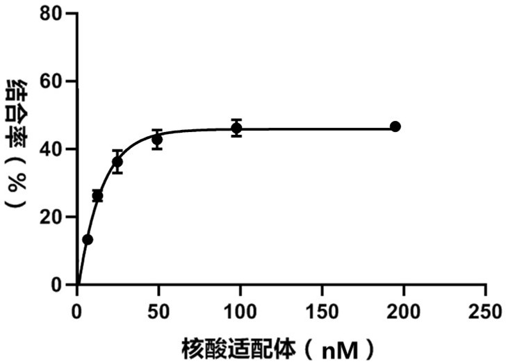 Sequence and application of a nucleic acid aptamer cga02 that specifically recognizes chromogranin a