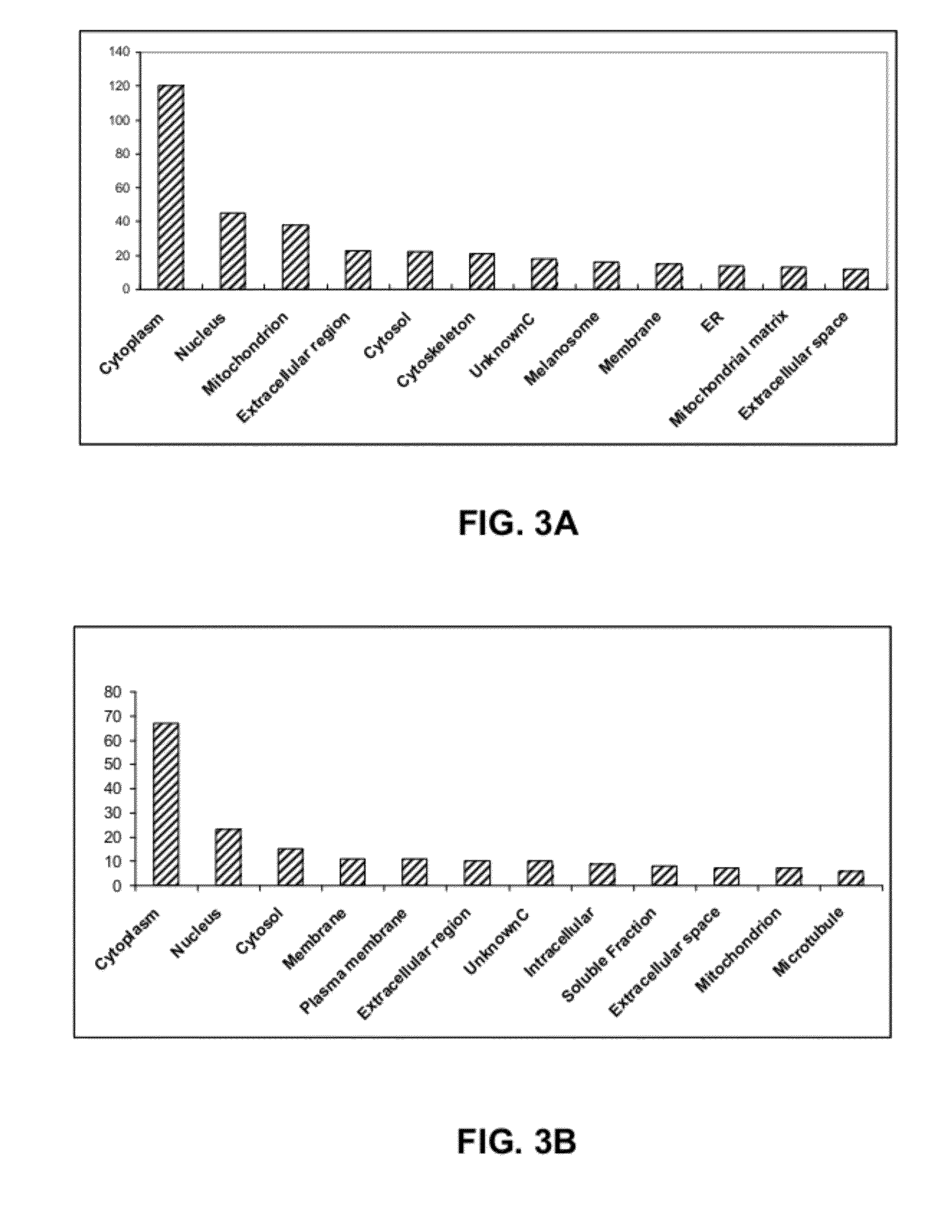 Renal Cell Carcinoma Biomarkers