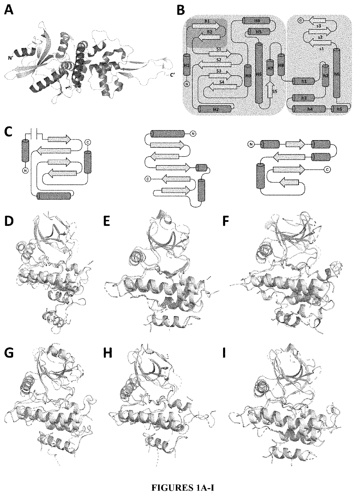 methods-and-compositions-for-treating-viral-diseases-using-combination