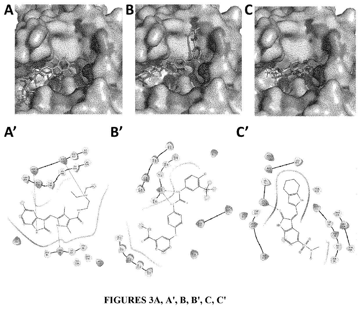 methods-and-compositions-for-treating-viral-diseases-using-combination