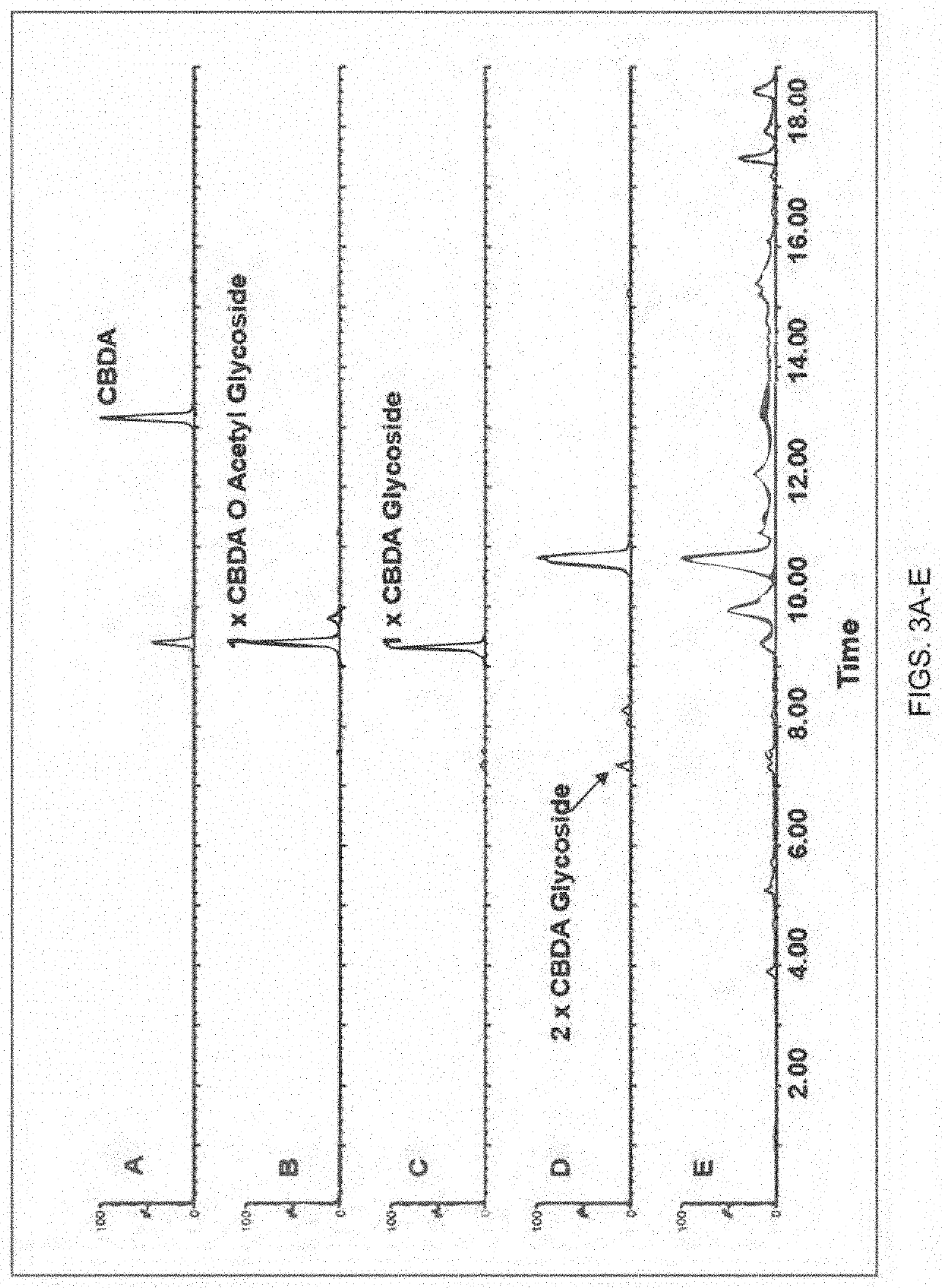 Compositions And Methods For Glycosylating Cannabinoid Compounds