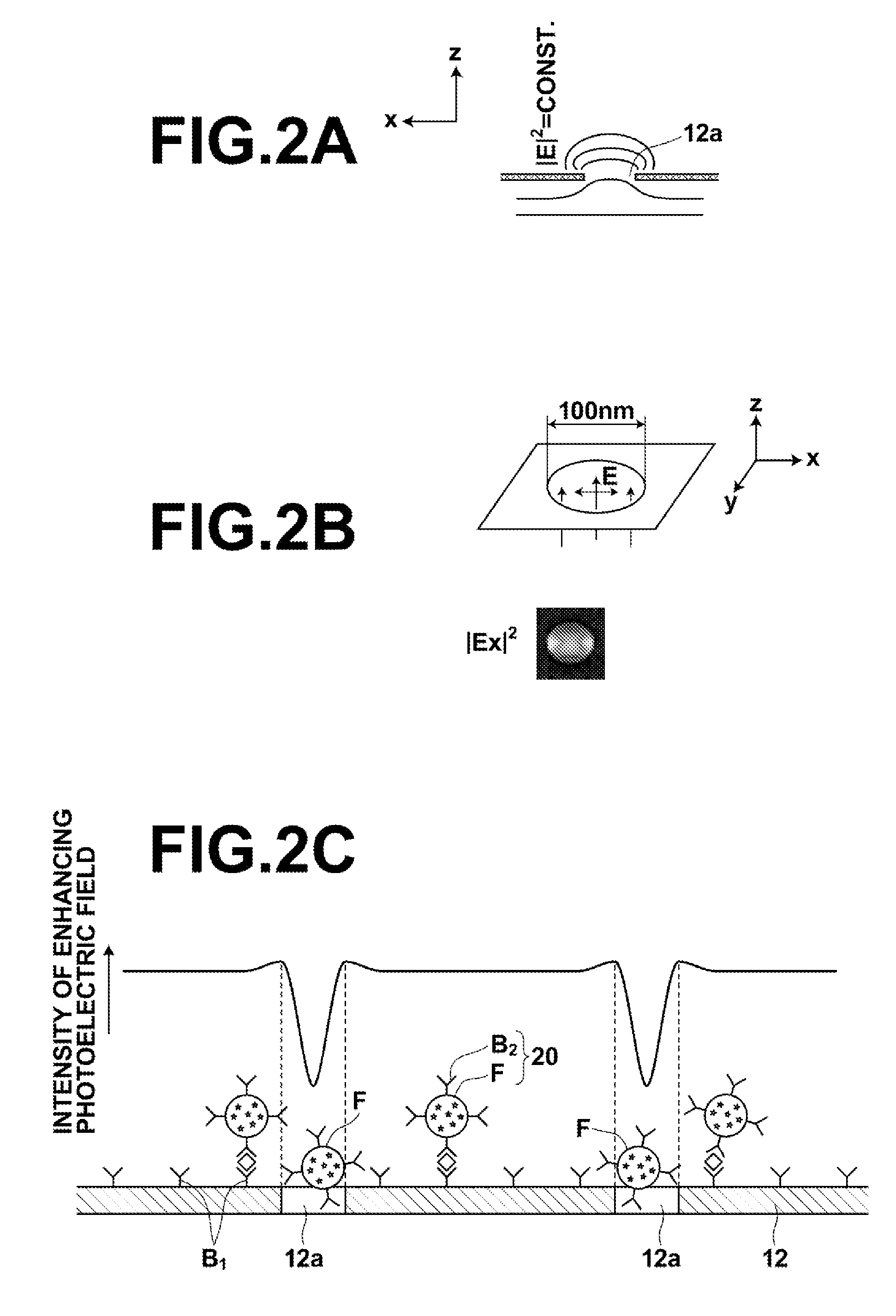 Fluorescence detecting apparatus, sample cell for detecting fluorescence, and fluorescence detecting method