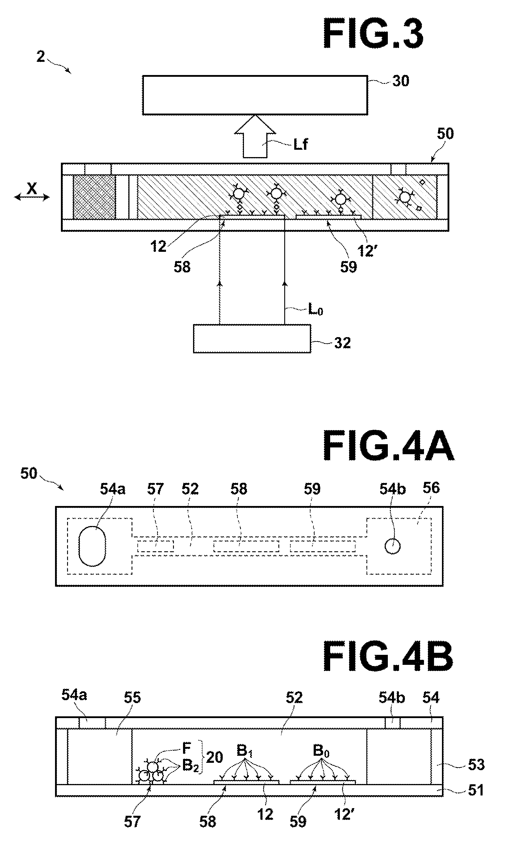 Fluorescence detecting apparatus, sample cell for detecting fluorescence, and fluorescence detecting method