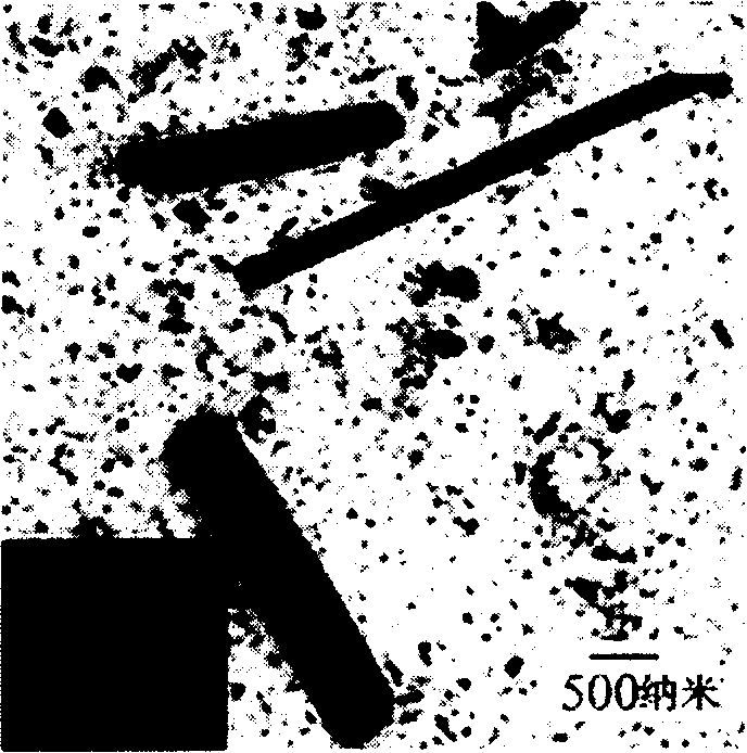 Method of preparing sulfide nano material of lead with calixarene adjusting solvent thermal system