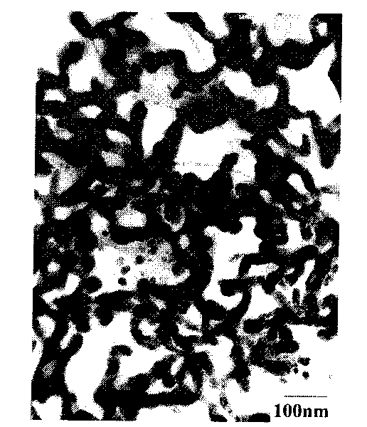 Silver nano-chain meshed material, preparation method thereof and application in preparing medicine for curing tumor