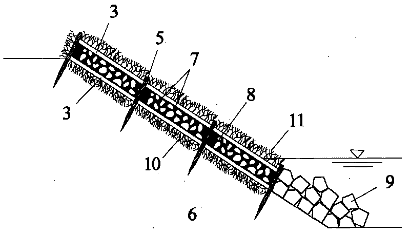 Construction method of live branch frame type plane source retaining purified ecological revetment