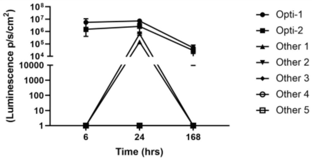 mRNA vaccine and its synthesis method, kit