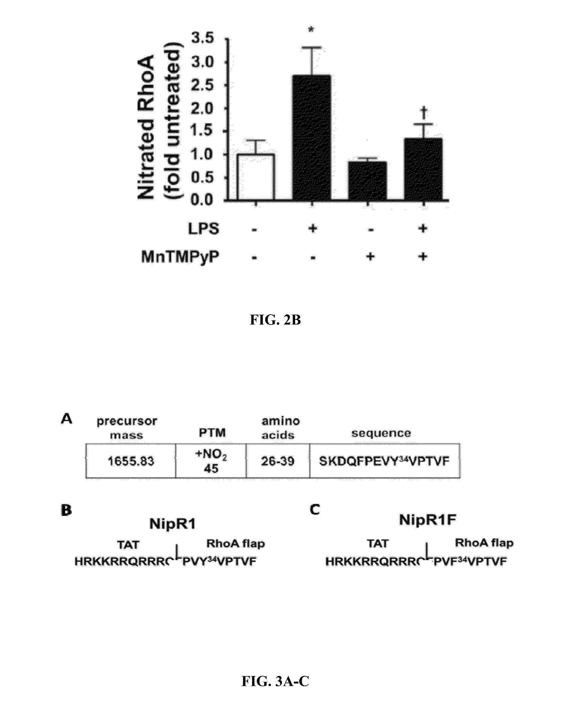 Nitration shielding peptides and methods of use thereof