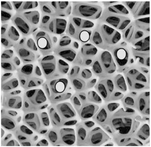 Method for separating sperms in mixed stains by using porous material