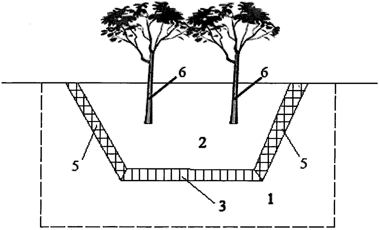 Planting structure and method in desert, sandy land and saline-alkali land