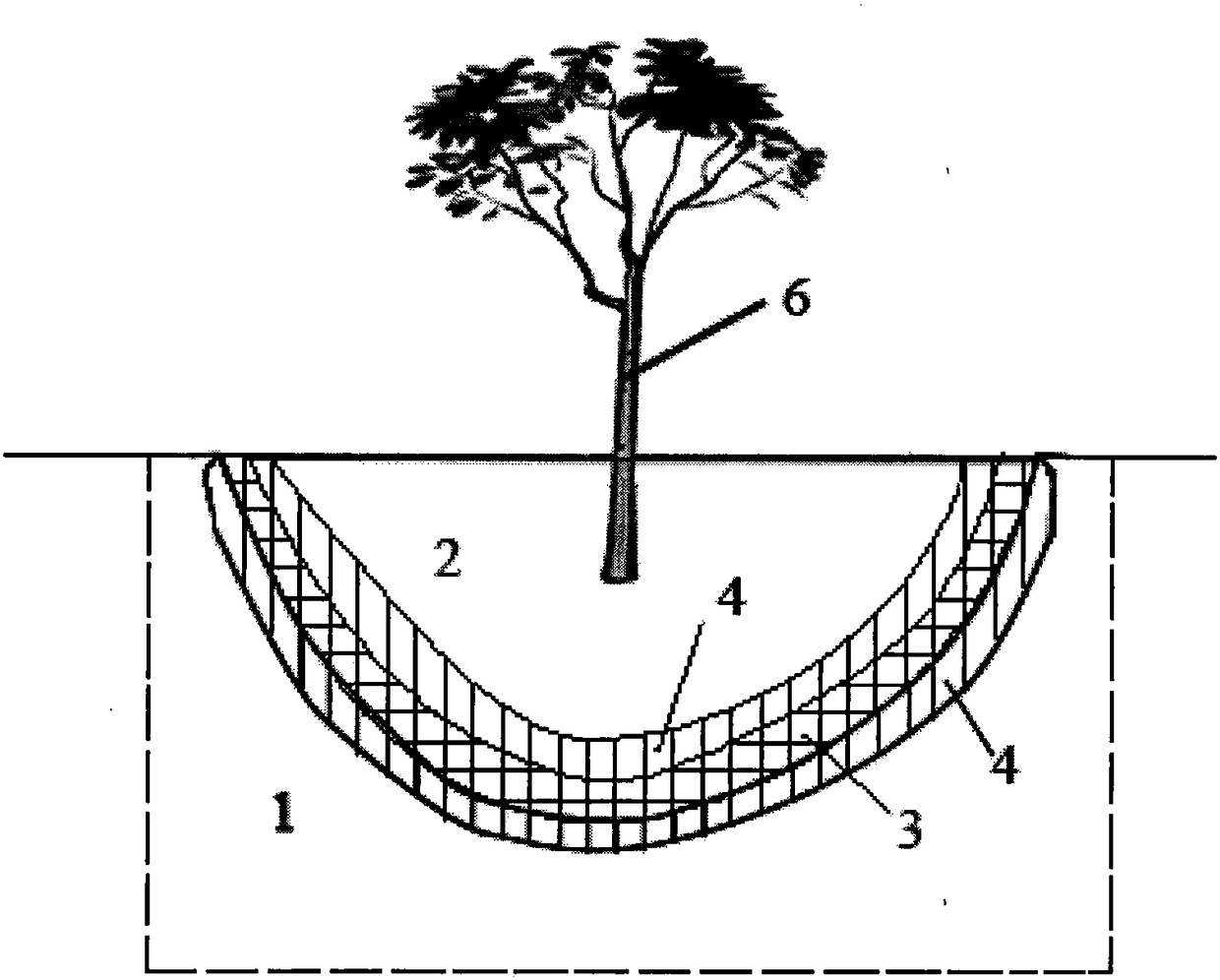 Planting structure and method in desert, sandy land and saline-alkali land