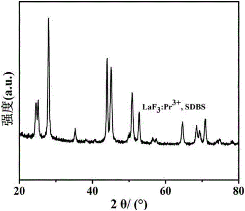 Praseodymium-doped lanthanum fluoride organic-inorganic hybrid nanometer powder and its preparation method and use