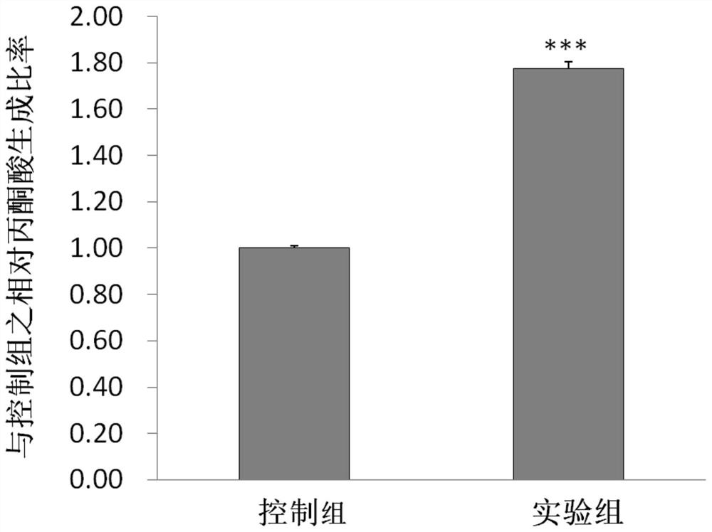 Application of cyclocarya paliurus extract in increasing fat-reducing gene expression quantity, increasing basal metabolic rate and/or inhibiting fat accumulation