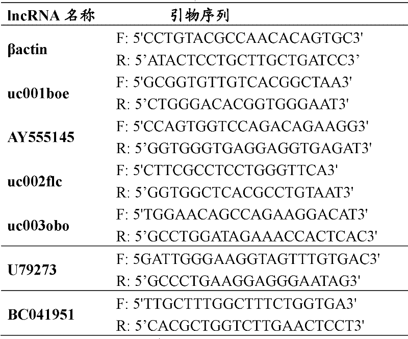 Differential expression map model of long-chain non-coding RNA in uremia and its construction method