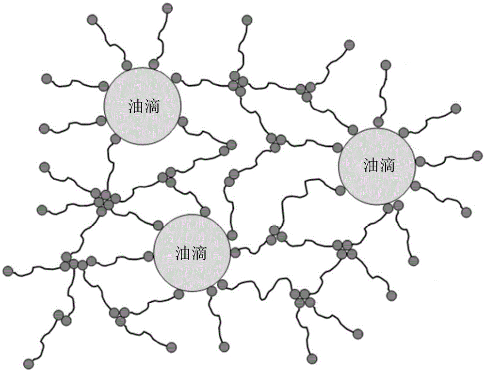 Hydrophobically associating polymer and preparation method thereof