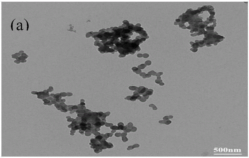 Method for preparing particle-size-controllable type starch nanoparticles by emulsifier assistant biological enzyme method