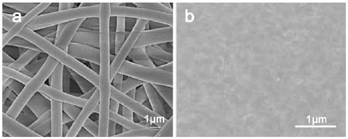 Composite nanofiltration membrane and preparation method thereof