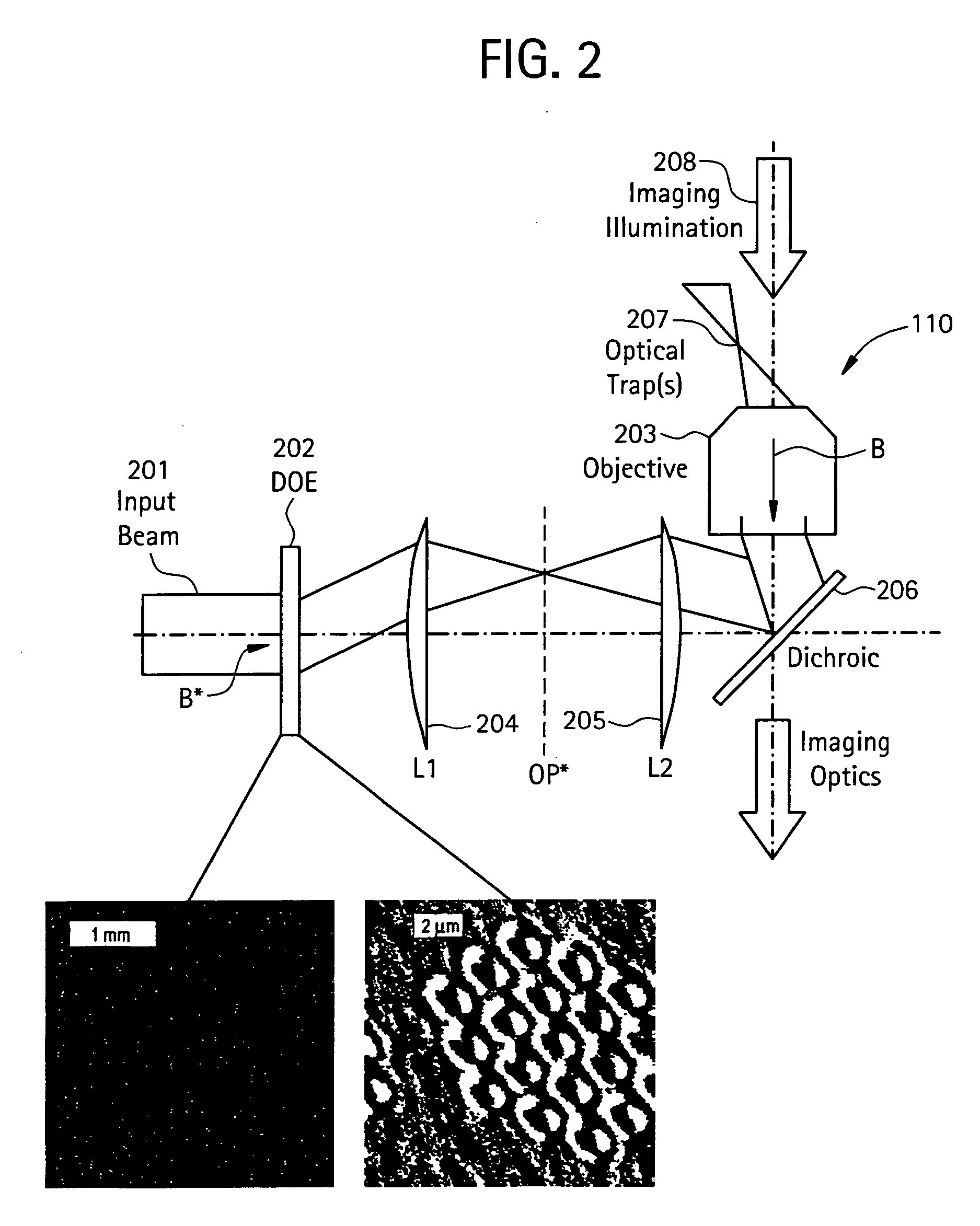 Apparatus and method for detecting deformability of cells using spatially modulated optical force microscopy