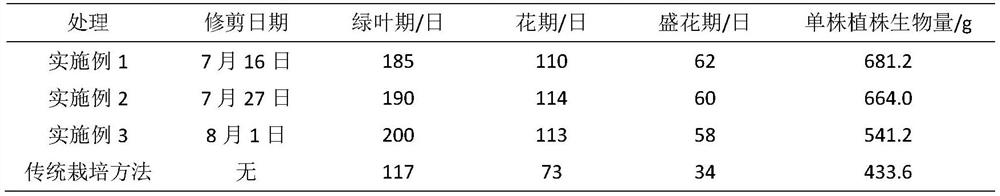 A kind of cultivation method for promoting the growth and flowering of celandine twice a year