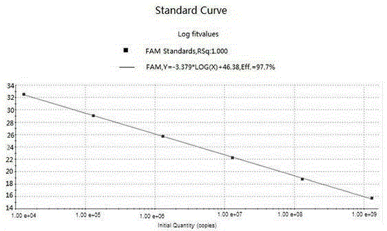 A taqman Real-time RT-PCR kit for detection of Peste des petits ruminants virus