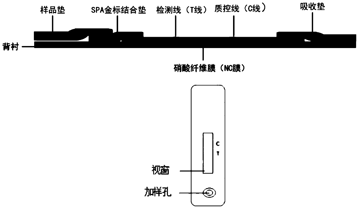 Bovine rotavirus chimeric antigen and colloidal gold immunochromatography test paper card for detecting bovine rotavirus antibody