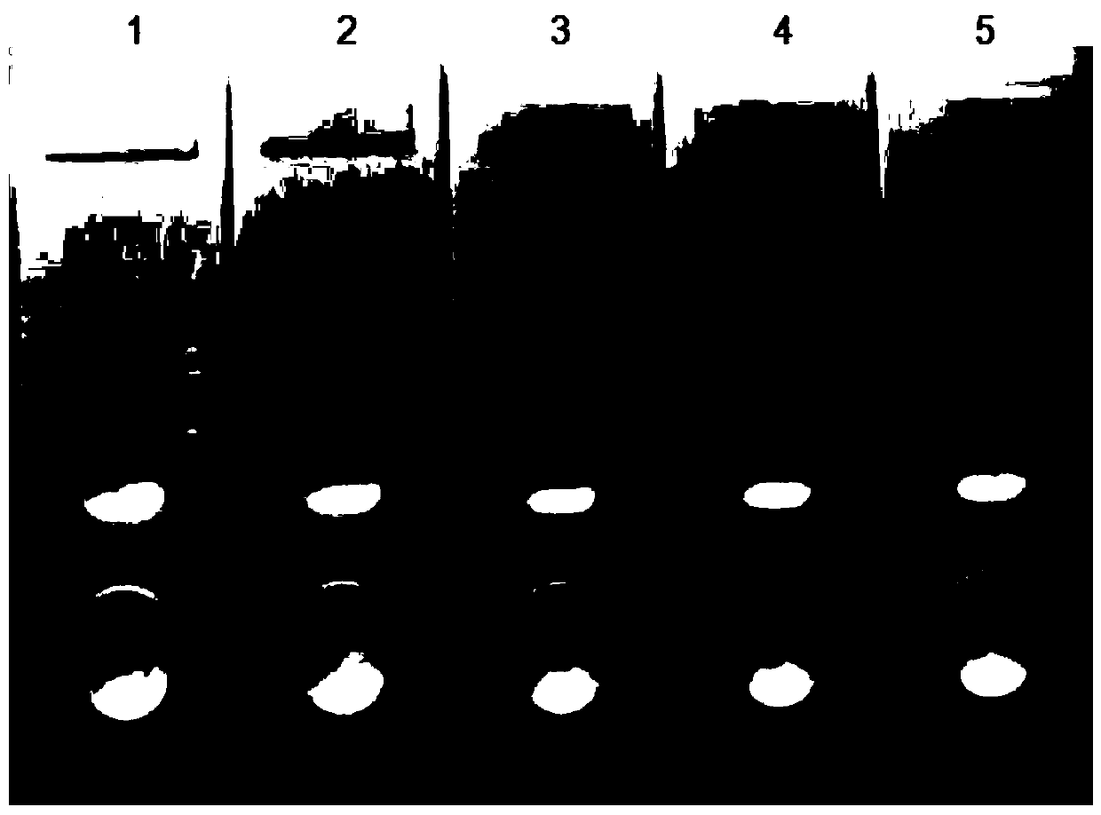 Bovine rotavirus chimeric antigen and colloidal gold immunochromatography test paper card for detecting bovine rotavirus antibody