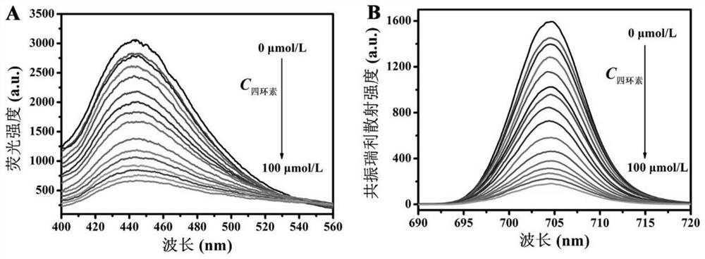 Fluorescence and resonance Rayleigh scattering light dual-element signal probe for detecting tetracycline, and preparation method and application thereof