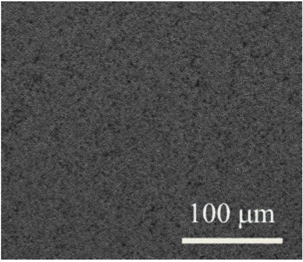 Patterned polymer and preparation method thereof