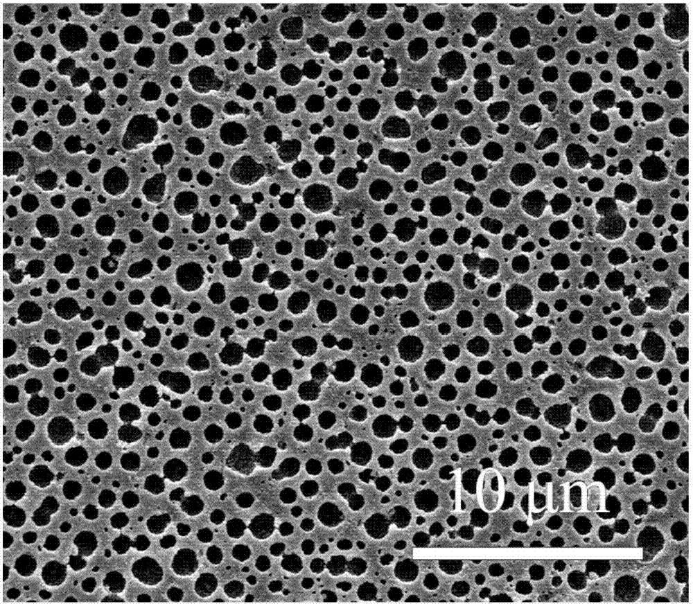 Patterned polymer and preparation method thereof