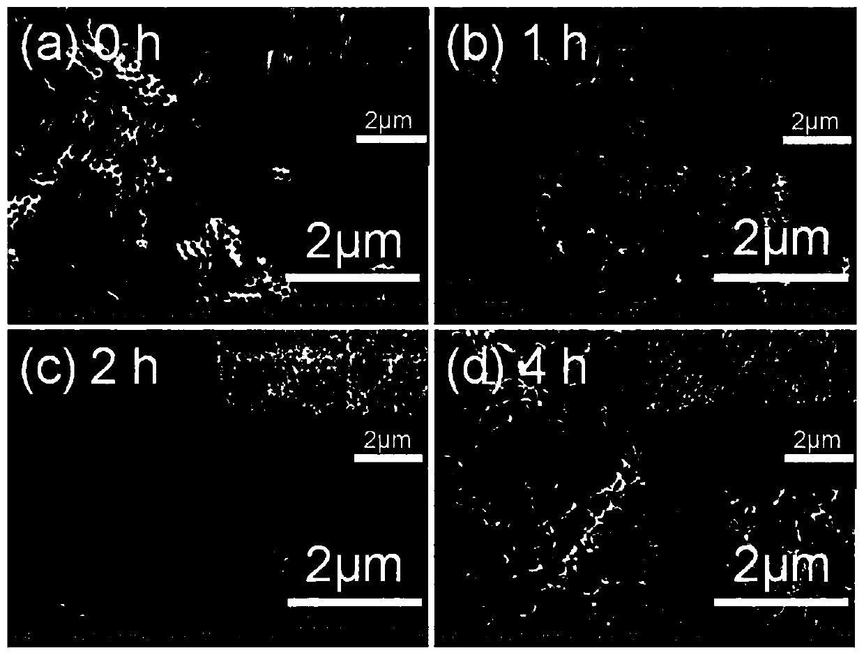 Titanium dioxide nanofiber-nanotube with hierarchical structure and preparation method thereof