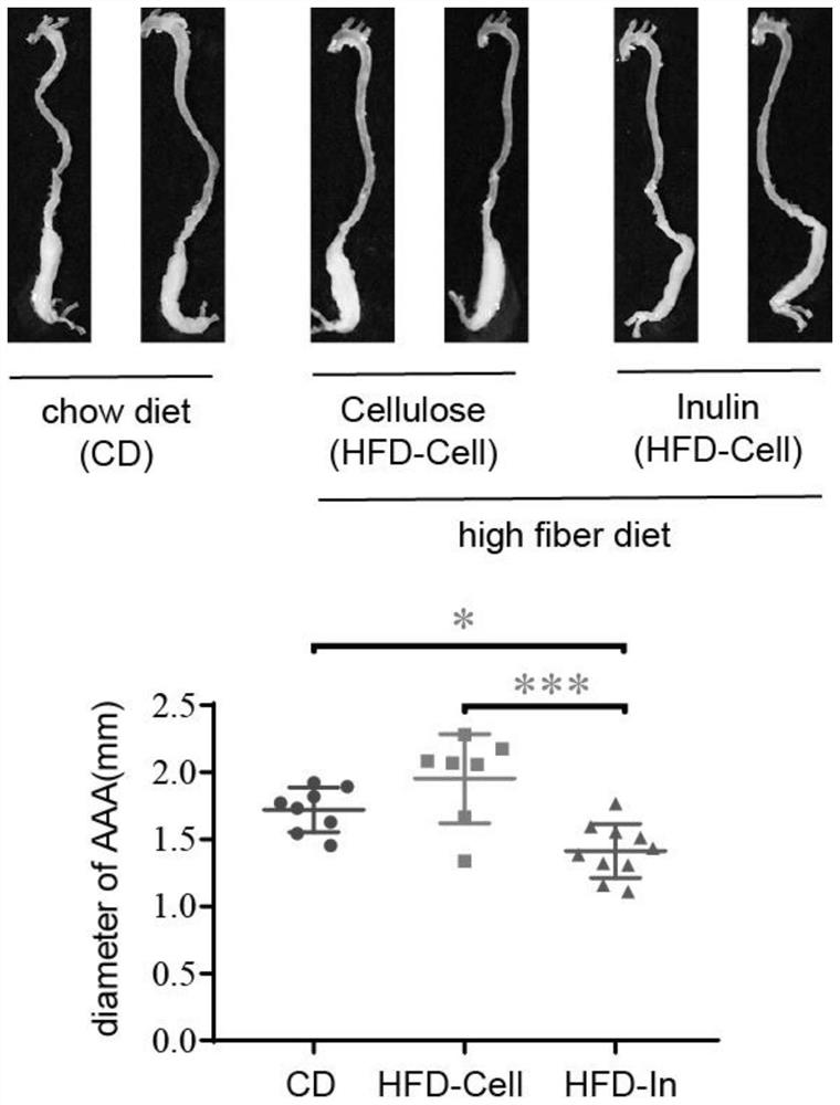 Novel applications of inulin