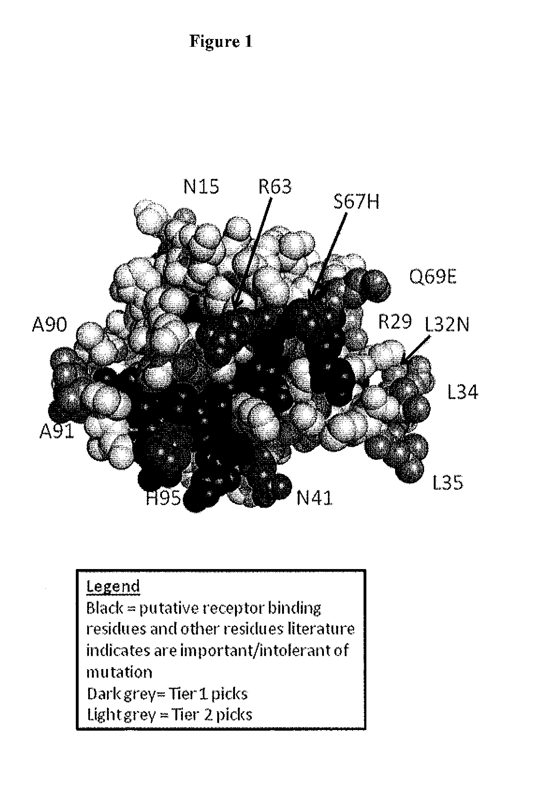 Interleukin-3 Polypeptide Conjugates and Their Uses