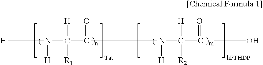 Fusion peptide of human parathyroid hormone derived peptide and tat peptide, preparation thereof, and skin slimming cosmetic composition comprising the same