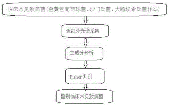 Method for fast identifying clinical pathogens based on principal component analysis and Fisher discriminance