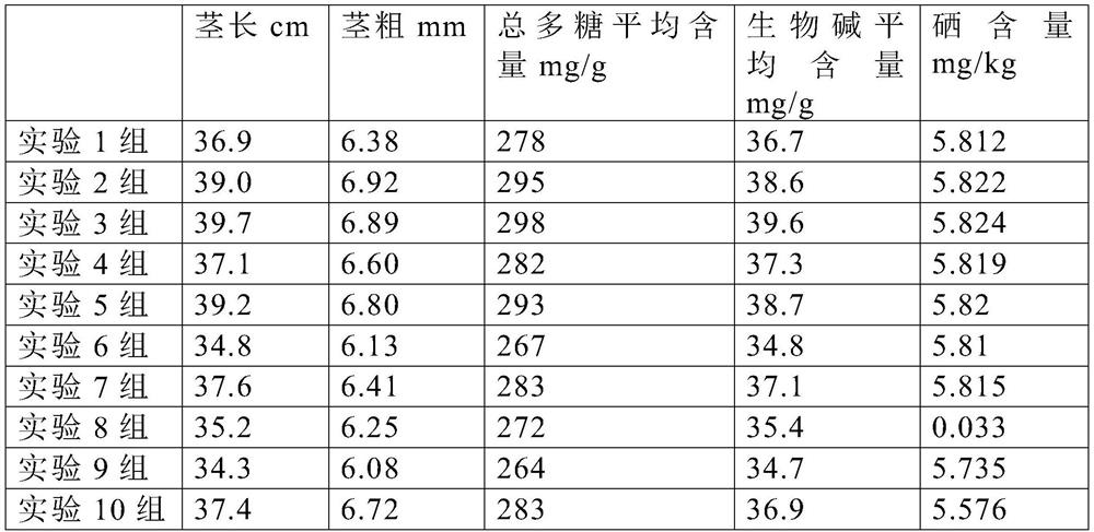 Novel bionic cultivation method for dendrobium officinale