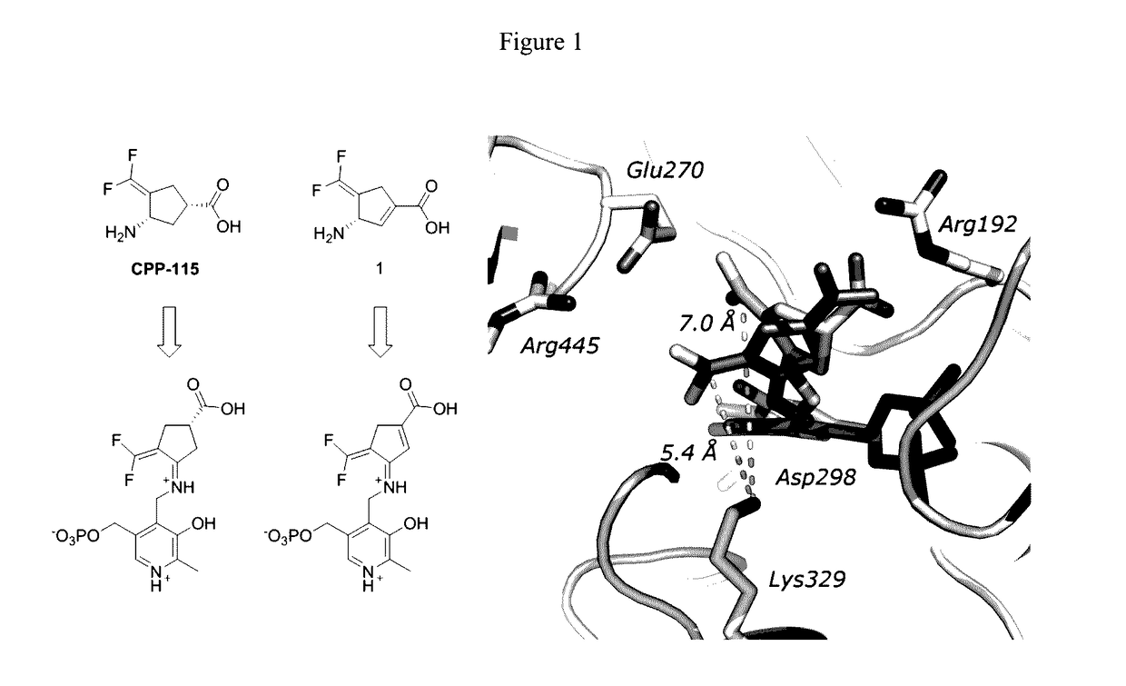 (S)-3-Amino-4-(difluoromethylenyl)cyclopent-1-ene-1-carboxylic acid, and Related Compounds as GABA Aminotransferase Inactivators for the Treatment of Epilepsy, Addiction and Hepatocellular Carcinoma