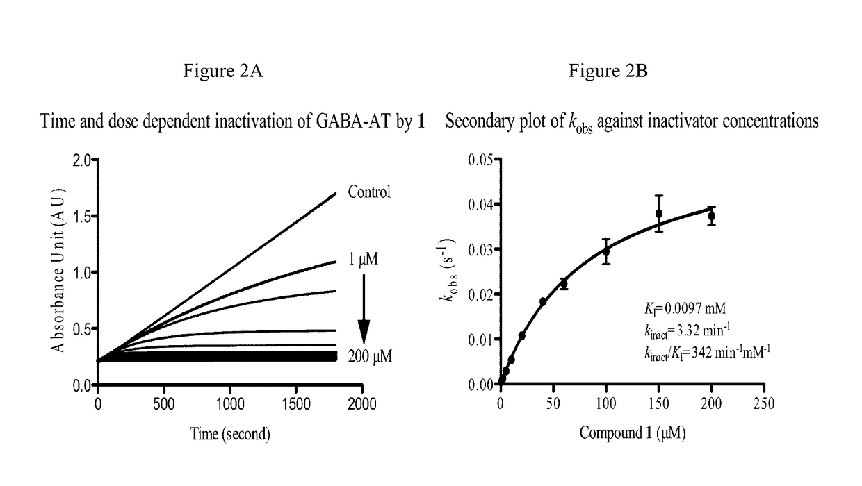 (S)-3-Amino-4-(difluoromethylenyl)cyclopent-1-ene-1-carboxylic acid, and Related Compounds as GABA Aminotransferase Inactivators for the Treatment of Epilepsy, Addiction and Hepatocellular Carcinoma