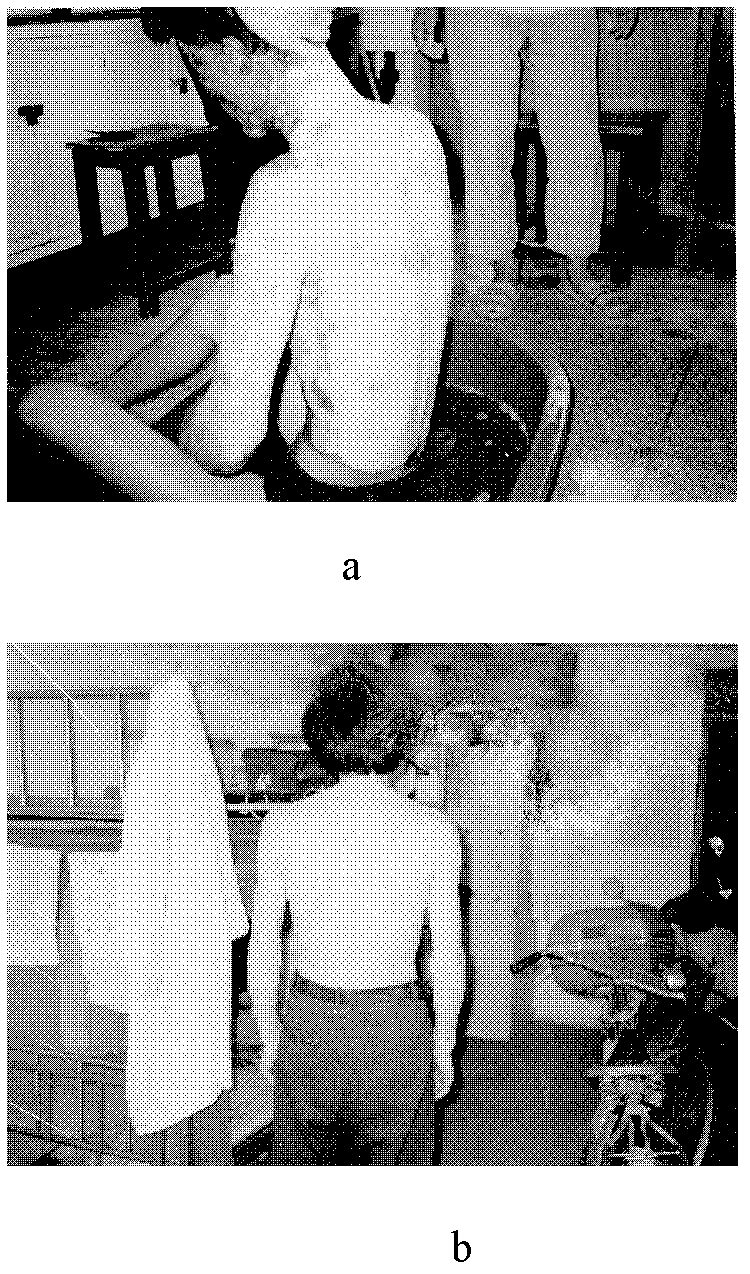 Traditional Chinese compound preparation for deep burnt wound restoration and tissue and skin regeneration promotion and preparation method of traditional Chinese compound preparation
