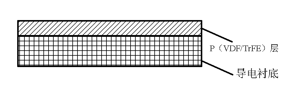 Ferroelectric type memory cell, memory and preparation method thereof