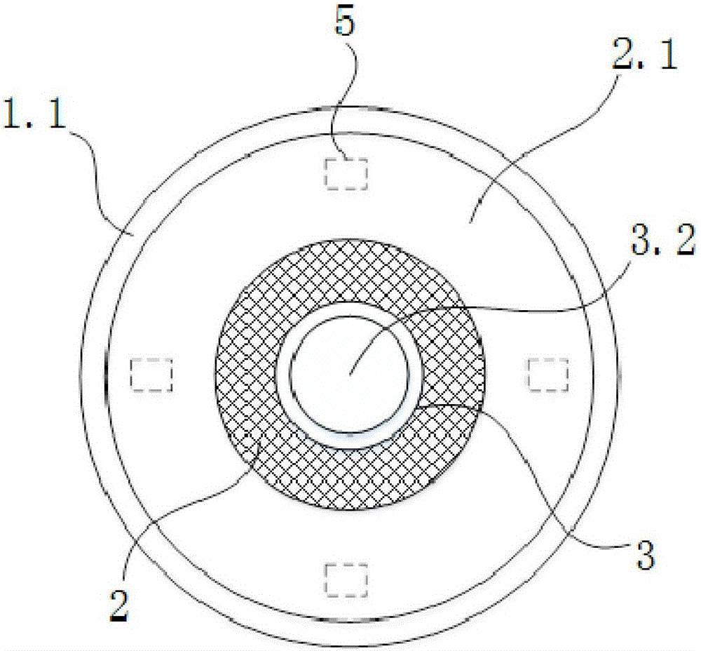 Double-lens capsule endoscope with light guide device