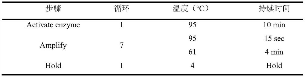 Efficient RNA reverse transcription method and RNA and DNA synchronous library building method