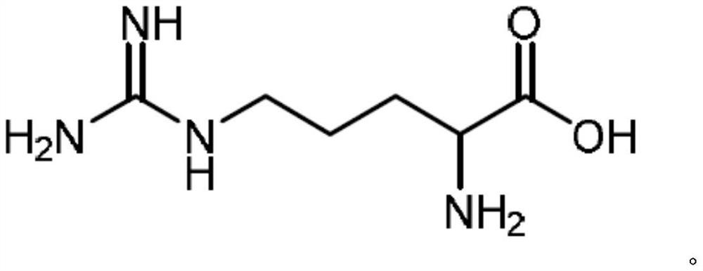 Oral care preparations comprising chlorhexidine and arginine or their salts