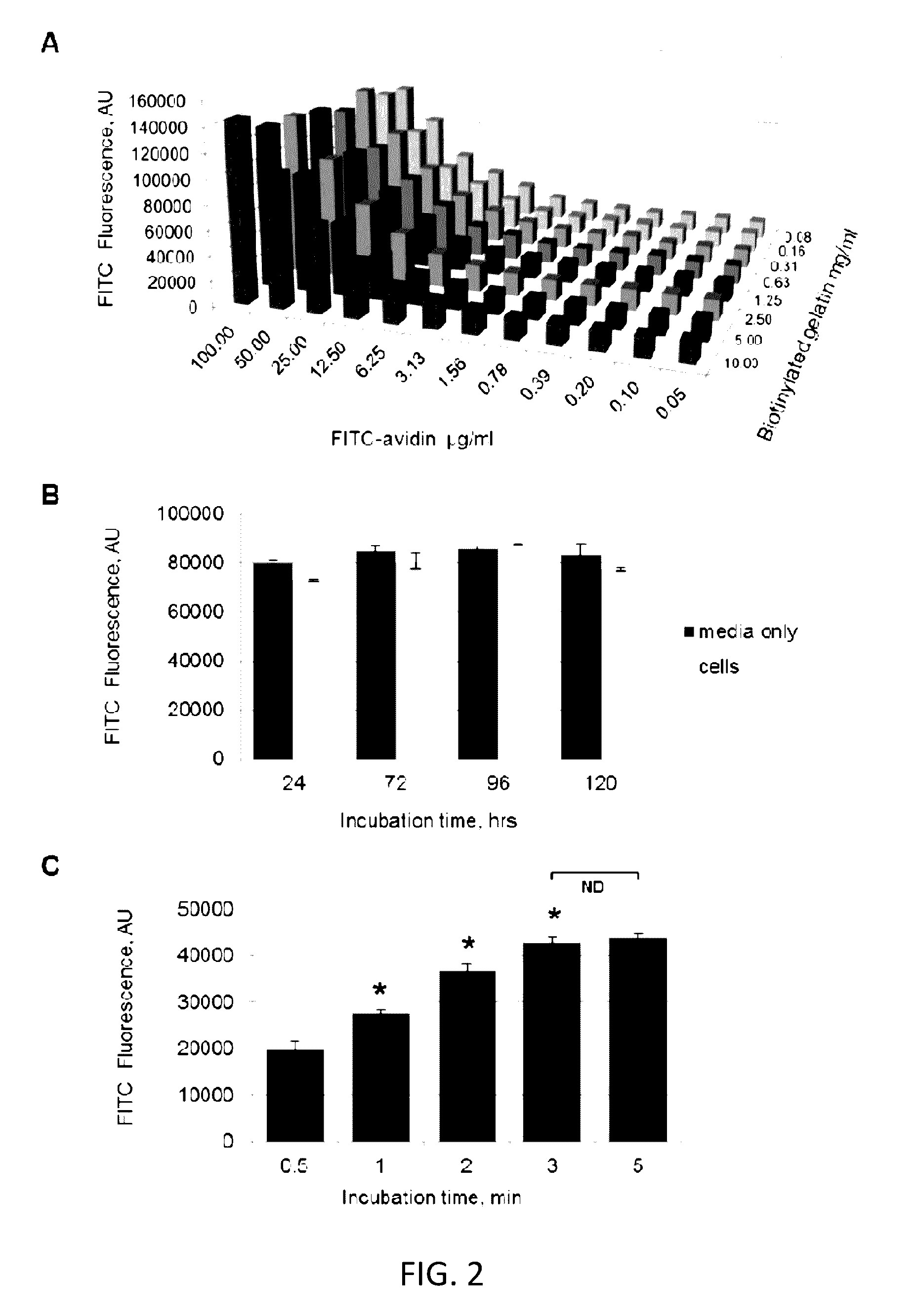 Methods and compositions for measuring cell permeability