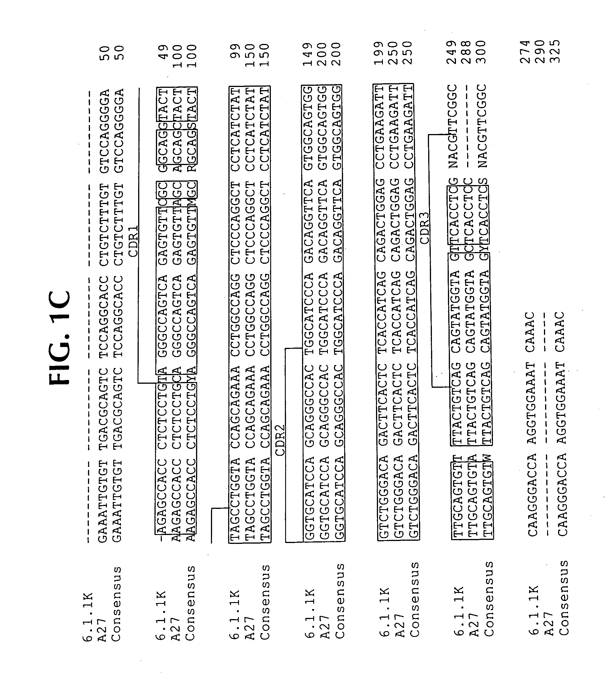 Combination treatment for non-hematologic malignancies