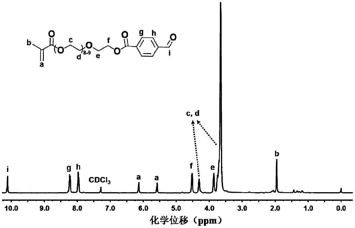 Acid-sensitive doxorubicin prodrug based on zwitterion and folic acid targeting and its preparation method and application