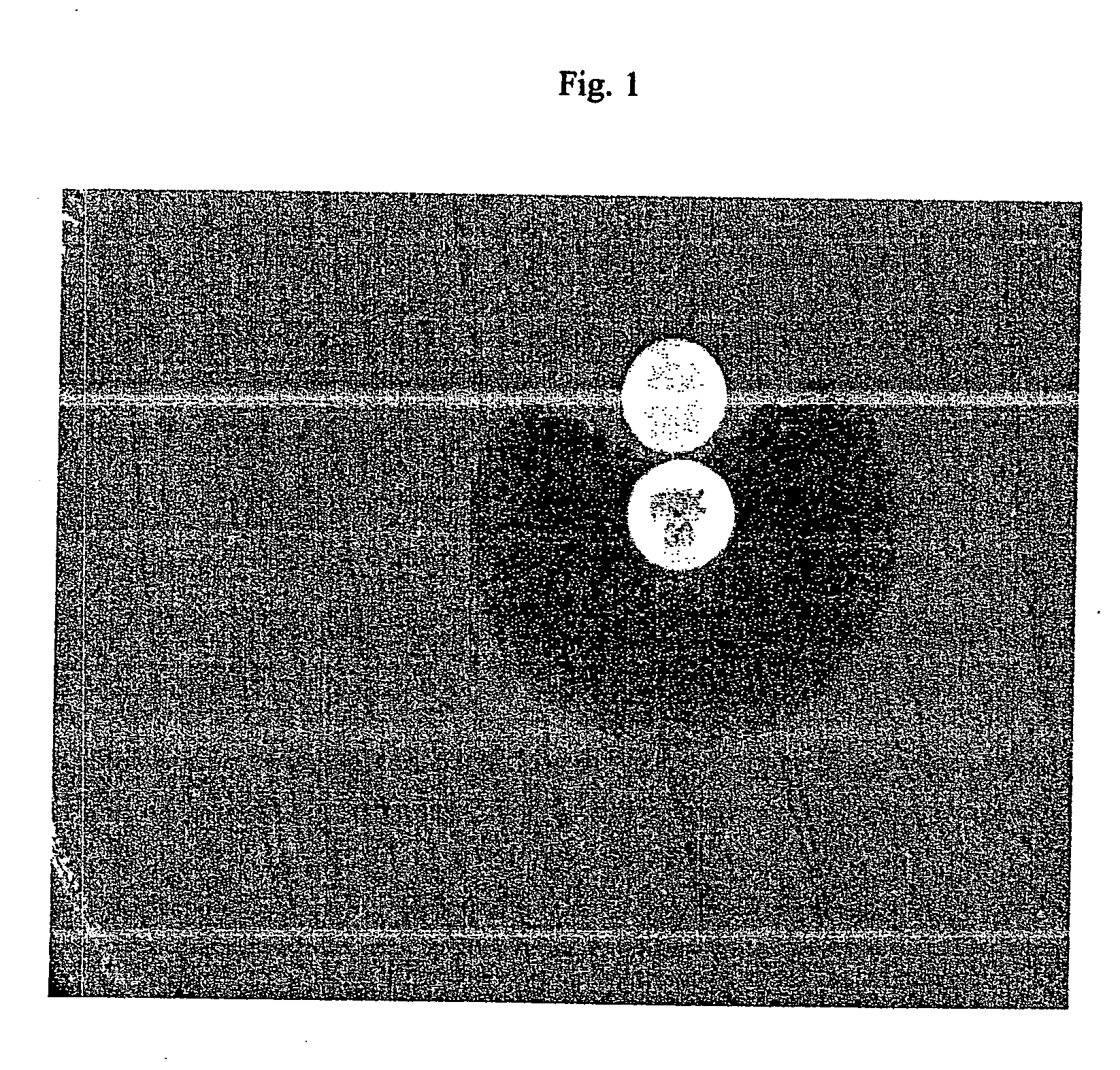 Device and method for detecting antibiotic inactivating enzymes