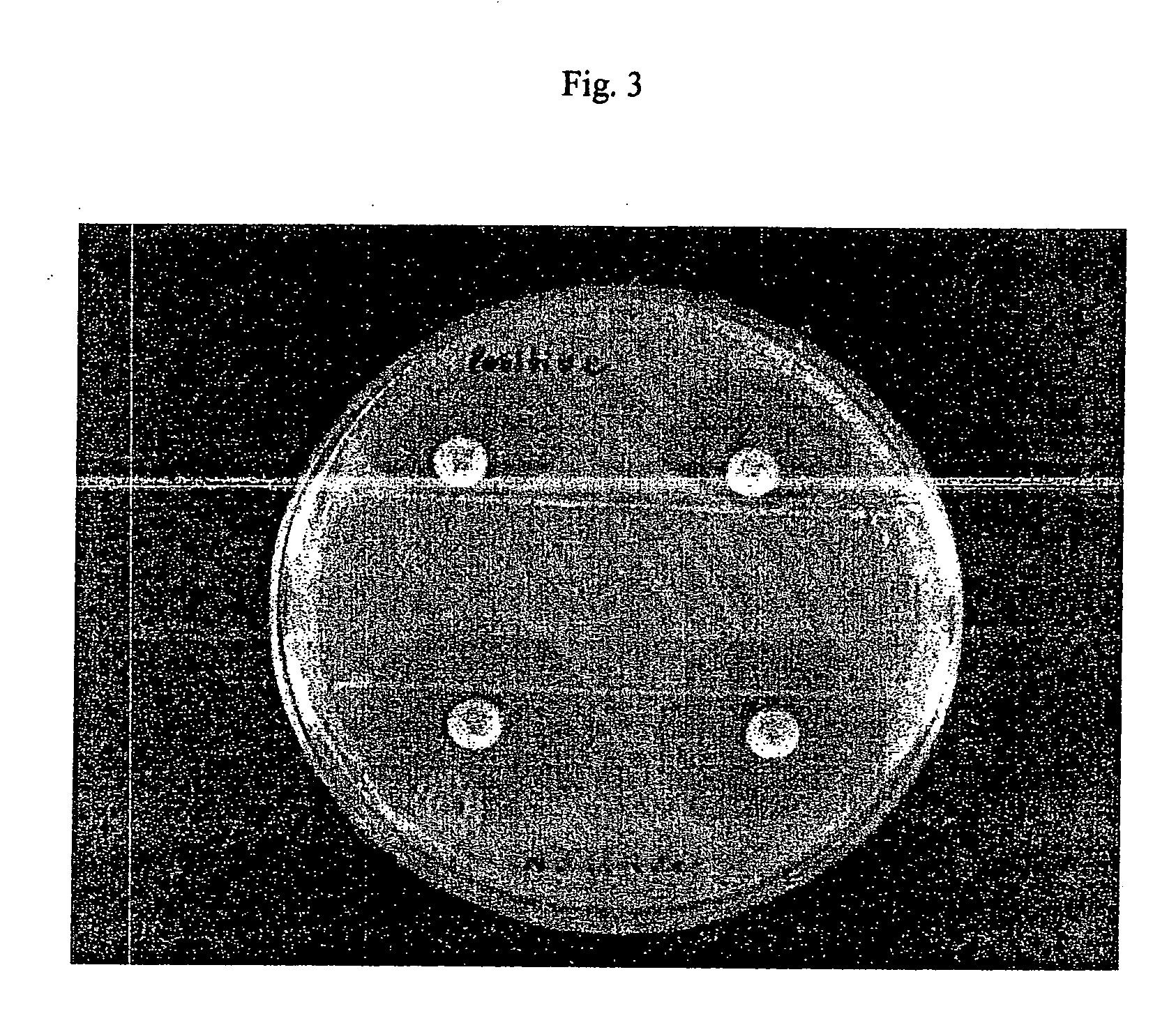 Device and method for detecting antibiotic inactivating enzymes