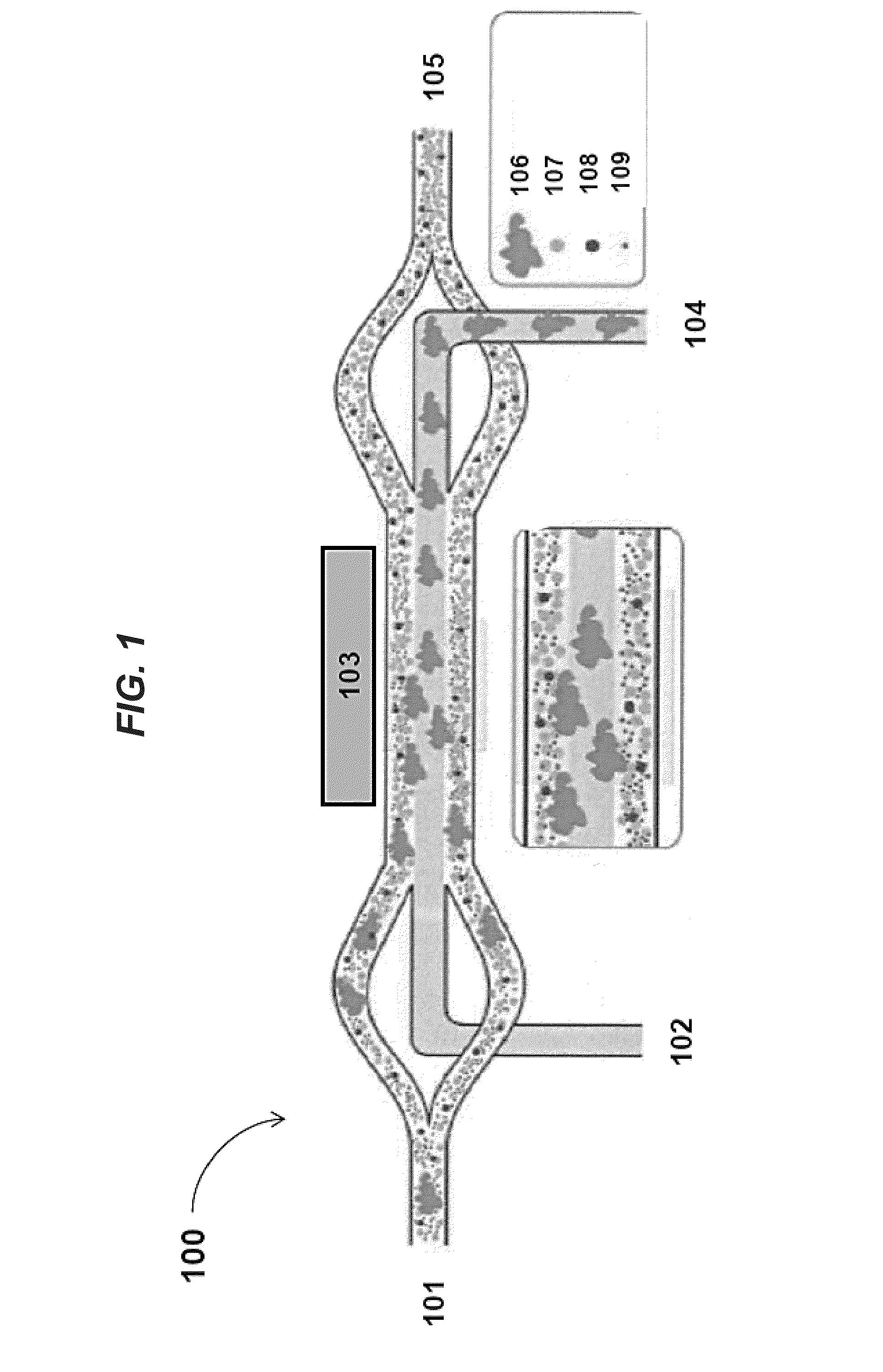 Devices and methods for processing a biological sample
