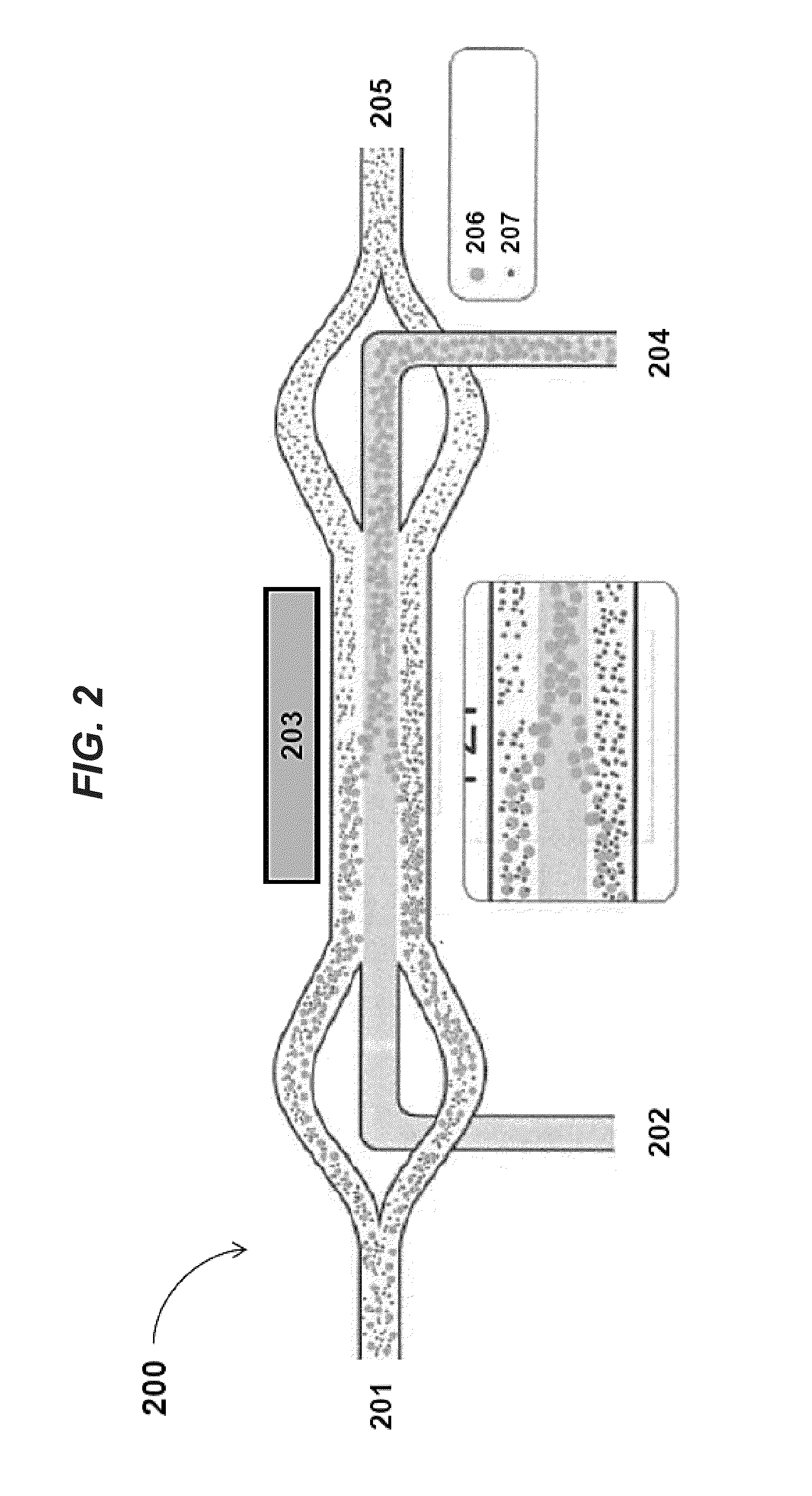 Devices and methods for processing a biological sample