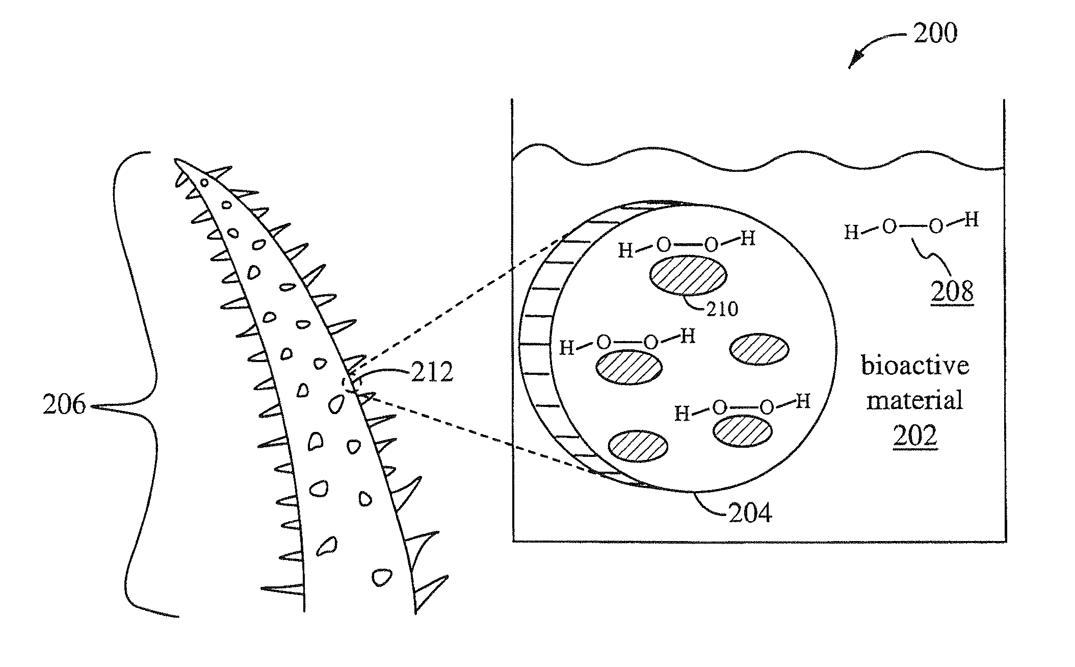 Treating a bacteria-induced gastric disorder with a mixture having pomegranate and hydrogen peroxide